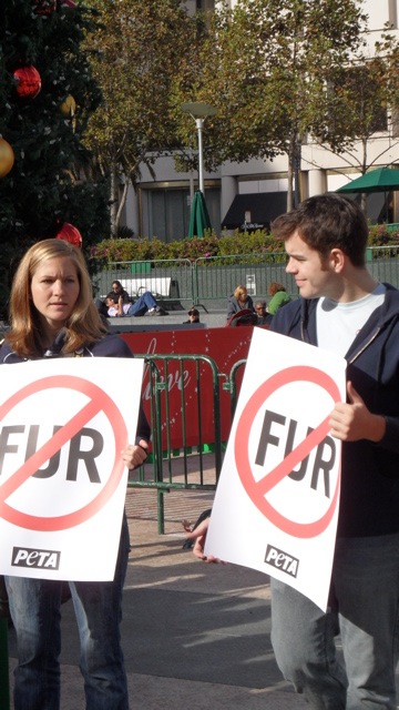 fur_free_friday_11-26-10_-_39.jpg 