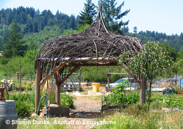 sharondanks_asphalt2ecosystems_pergola_c.jpg 