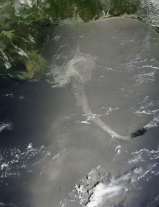 bp-gulf-oil-spill-0517-md.jpg