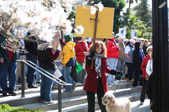 640_2.26.dailies.sacramento.rally.10.jpg 