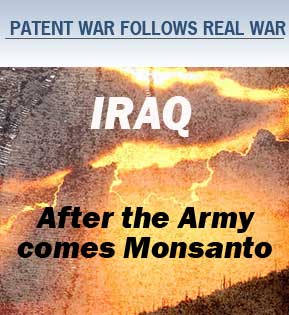 monsantoiraq.jpg 