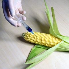 monsanto-doesn-t-want-you-to-know.jpg 