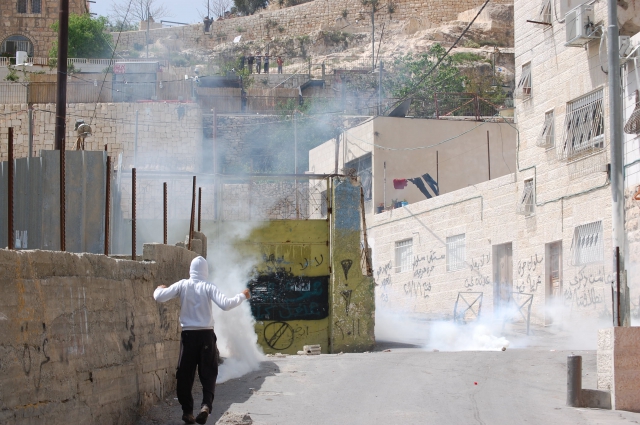 640_silwan_8.4.11_018.jpg 
