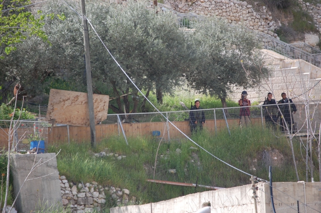 640_silwan_8.4.11_068.jpg 