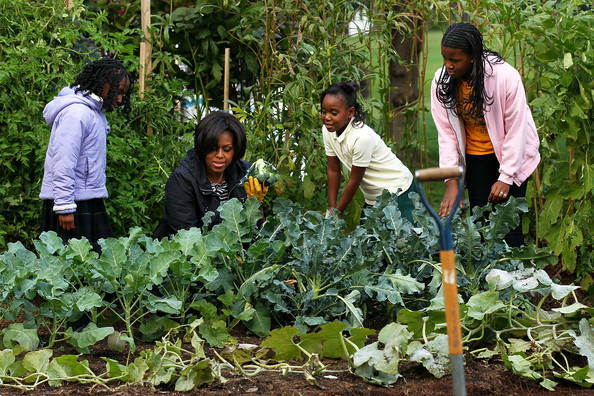 white_house_garden___harvest.jpg 