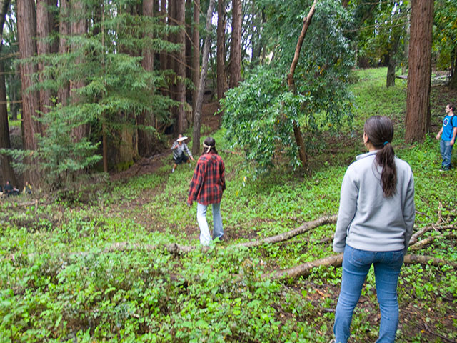 forest-frisbee_4-20-11.jpg 