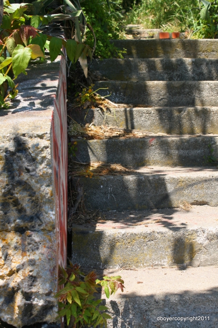 640_glencove_080.jpg 