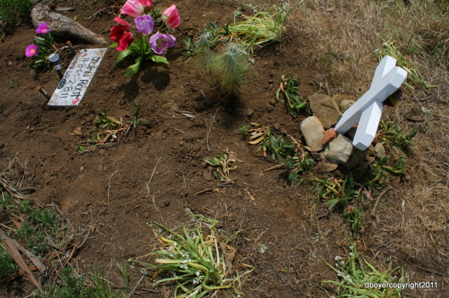 640_sogorate_056.jpg 
