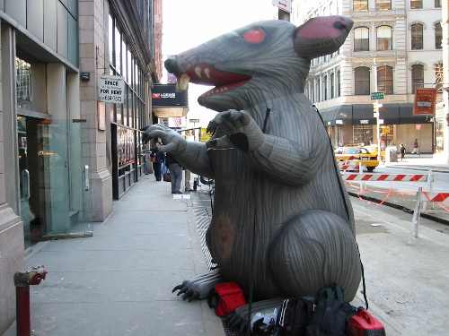 rat.jpg