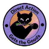 directaction.jpg 