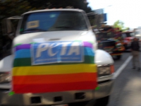 sf-pride-peta-animal_protection-vegetarian_community_contingent-062611_-_1.jpg