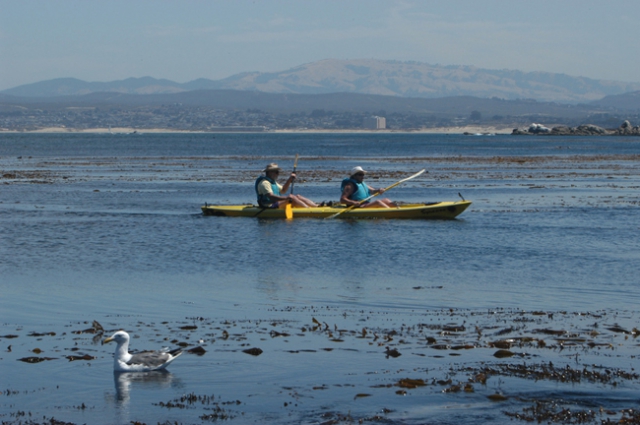 640_marine_protected_area_credit_noaa.jpeg 