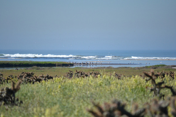 tijuana_river_mouth.jpeg
