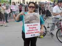 ringlingdemo-sanjose081711-09.jpg