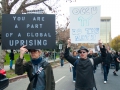global-uprising-occu-pie_11-19-11.jpg