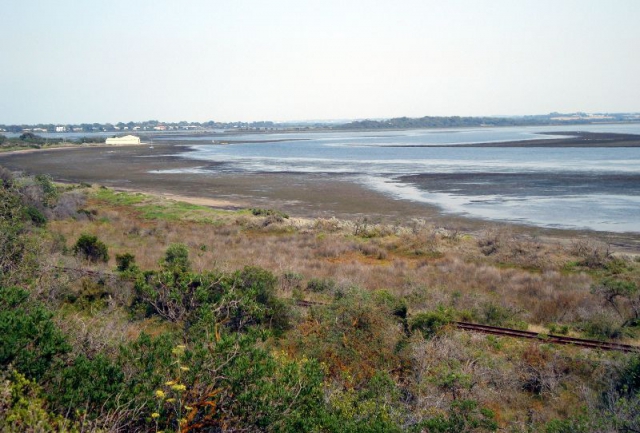 640_dsc01616_tidal_marshes_near_queenscliff.jpg