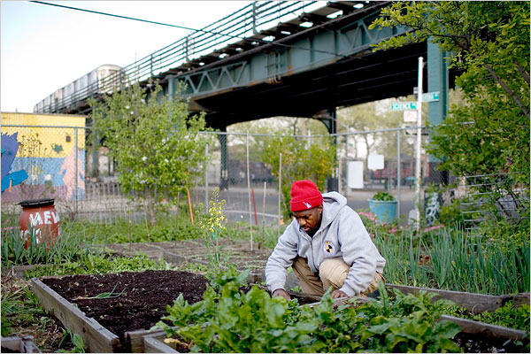 urban_agriculture.jpg 