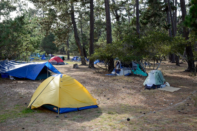camp-2-occupy-monterey-dec-31-2011.jpg 
