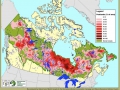 120_borealforest-carbonmap-peatlands.jpg