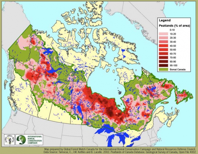 640_borealforest-carbonmap-peatlands.jpg 
