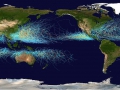 120_20120201_global_tropical_cyclone_tracks_1985-2005.jpg