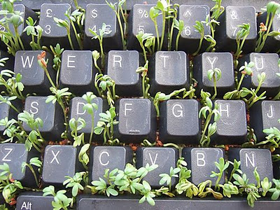 sproutkeyboard.jpg 