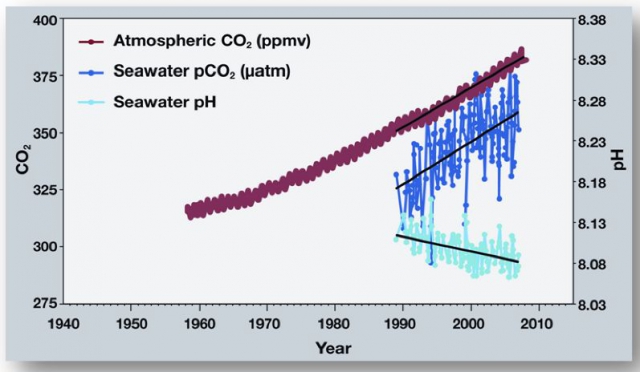 640_noaa_co2_in_atmosphere_seawater_and_ocean_ph.jpg