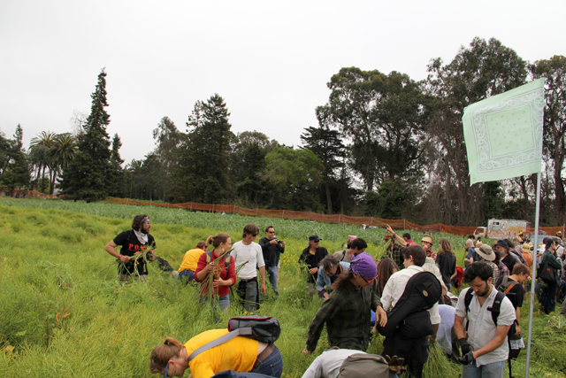 120422_occupythefarm_116.jpg 