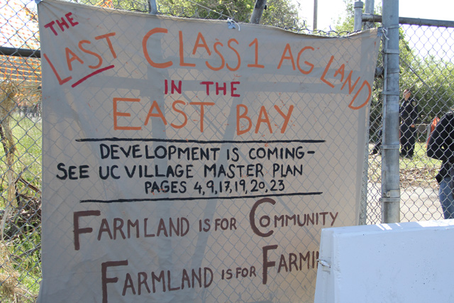 occupythefarm_lastclass1agland_050912.jpg 