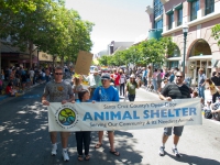 santa-cruz-county-animal-shelter_6-3-12.jpg