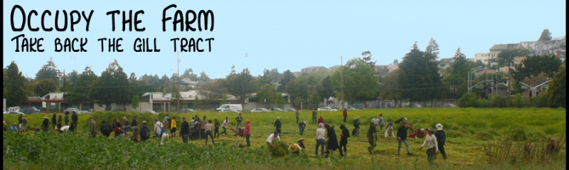 800_occupy-the-farm.jpg 