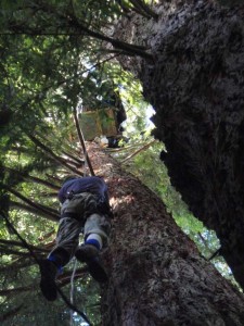 mckay_climbing_for_web-225x300.jpg