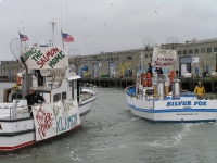200_boats_with_signs_better_sm.jpg