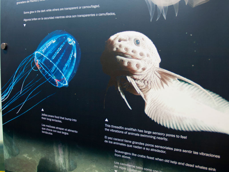 Grand Opening of Monterey Bay National Marine Sanctuary Exploration