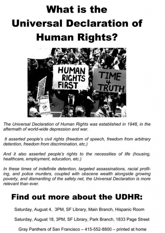 800_2012-07-29-michael--udhr-poster-of-ndaa-meeting.jpg 