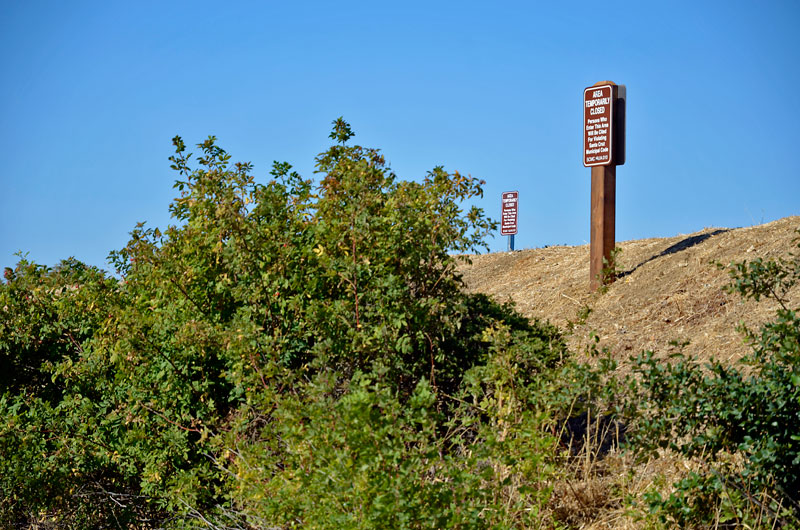 san-lorenzo-river-santa-cruz-august-2012-15.jpg 