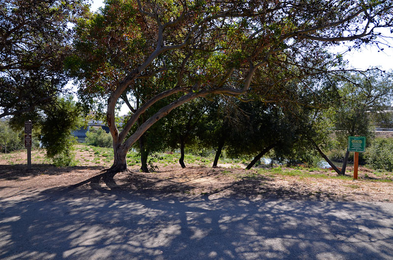 san-lorenzo-river-santa-cruz-august-2012-18.jpg 