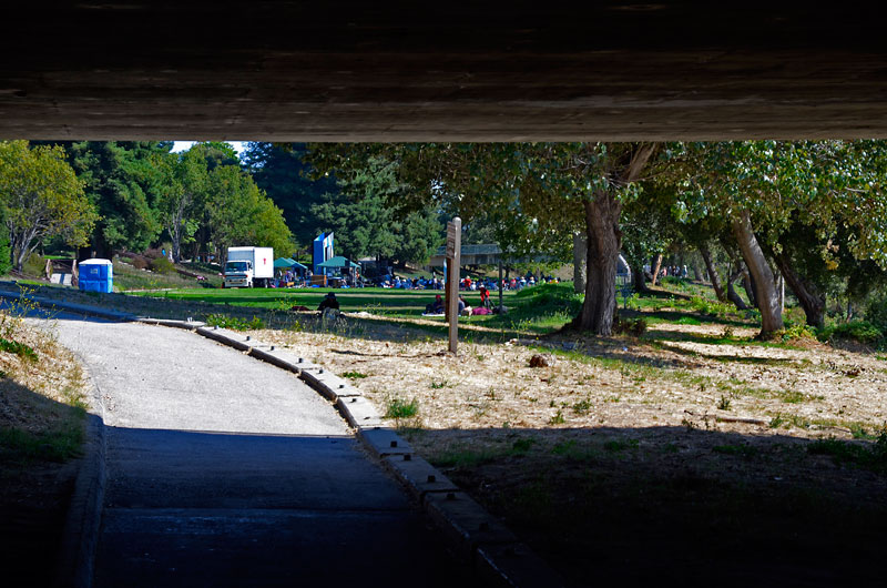 san-lorenzo-river-santa-cruz-august-2012-22.jpg 