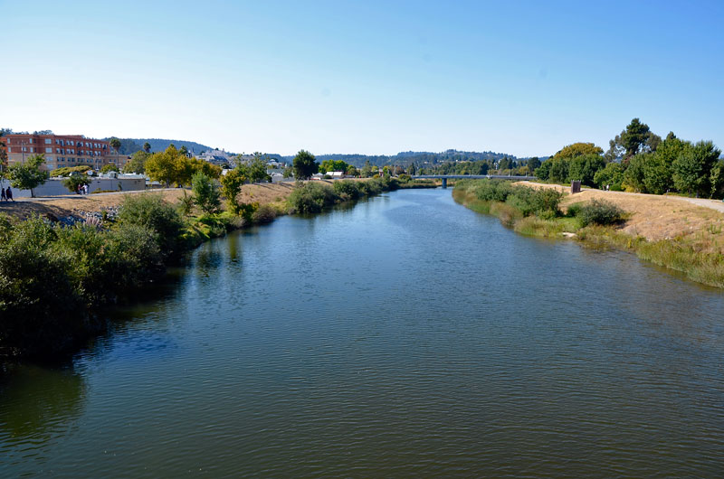 san-lorenzo-river-santa-cruz-august-2012-28.jpg 