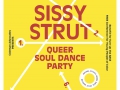 120_sassystrut_fullflyer-1.jpg