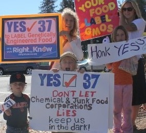 yes-prop-37.jpg 