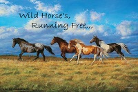 free_horses.jpg 