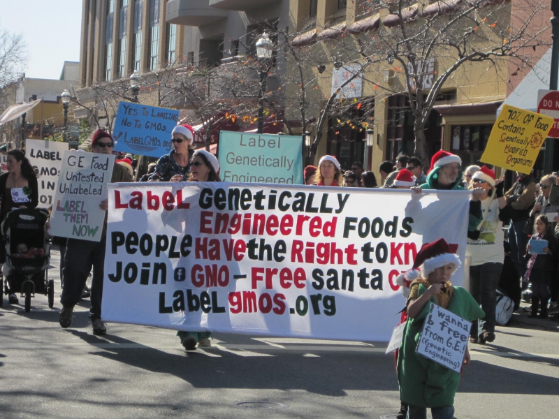 800_gmo-free-santa-cruz-holiday-parade.jpg 