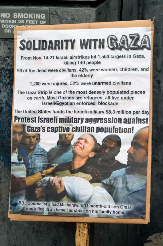 gaza-rally-uc-santa-cruz-november-27-2012-8.jpg 