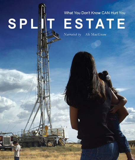 split_estate_poster.jpg 