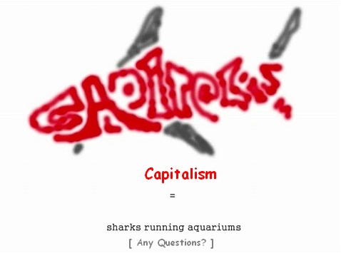 sharks_running_aquariums2.jpg 