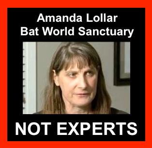 bat_world_sanctuary_no_expert.jpg 
