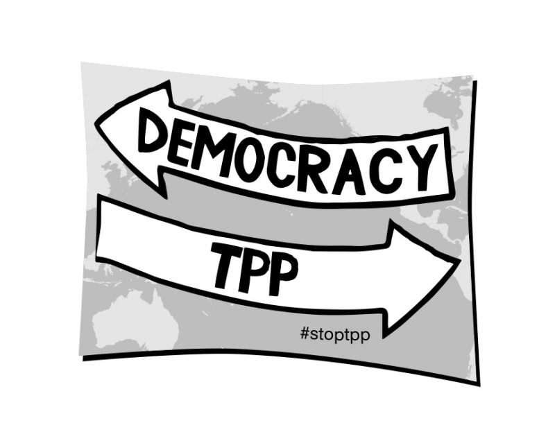 800_tpplogo11.jpg 