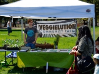 veggielution-community-farm-azteca-mexica-new-year-san-jose-march-17-2013.jpg