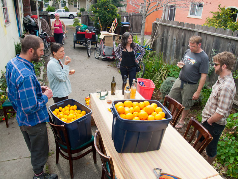 fruit-tree-project_7_3-23-13.jpg 